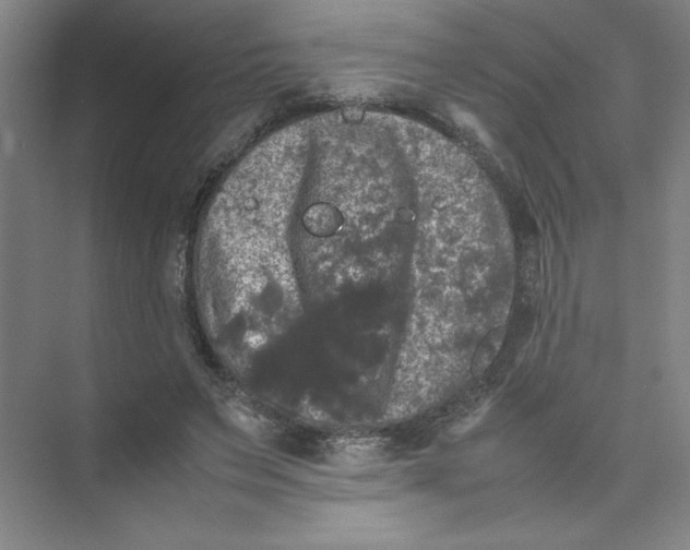 X0000074030495200609181930