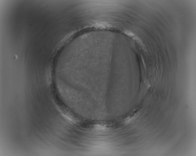 X0000074030496200609181930