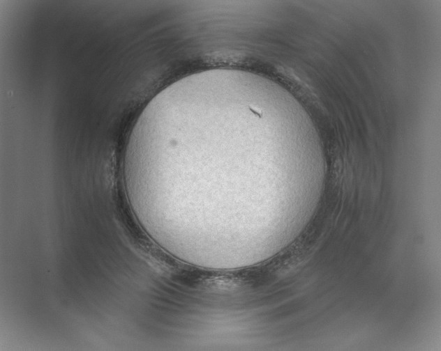 X0000074030498200609181930