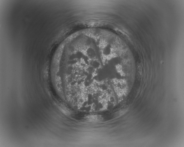 X0000074030499200609181930