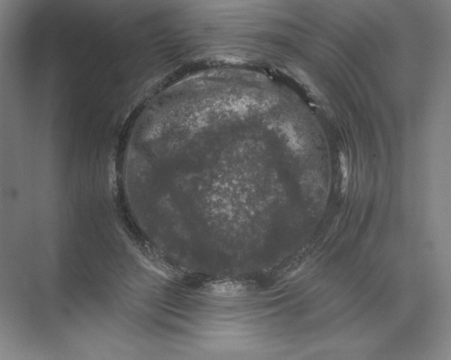 X0000074030500200609181930