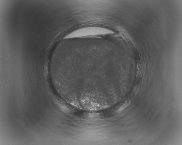 X0000074030501200609181930