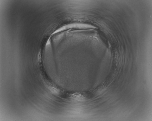 X0000074030502200609181930