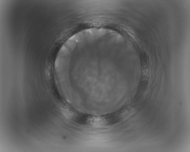 X0000074030503200609181930