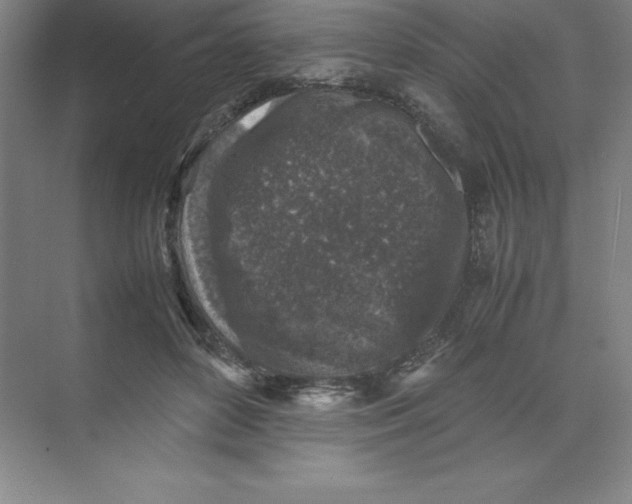 X0000074030504200609181930