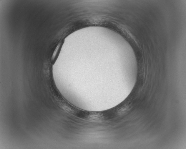 X0000074030505200609181930