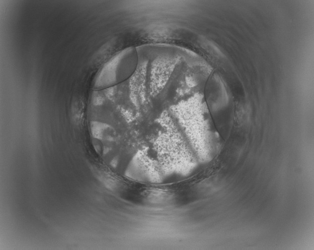 X0000074030507200609181930