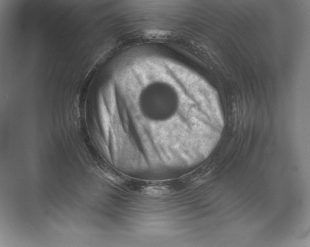 X0000074030508200609181930