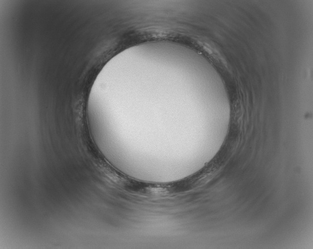 X0000074030509200609181930