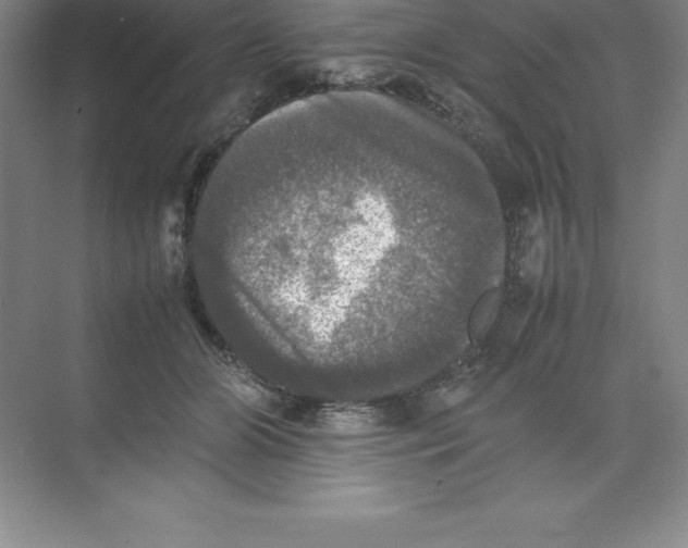 X0000074030510200609181930