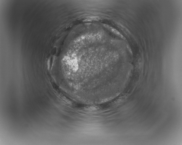 X0000074030513200609181930