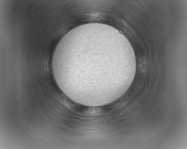 X0000074030514200609181930