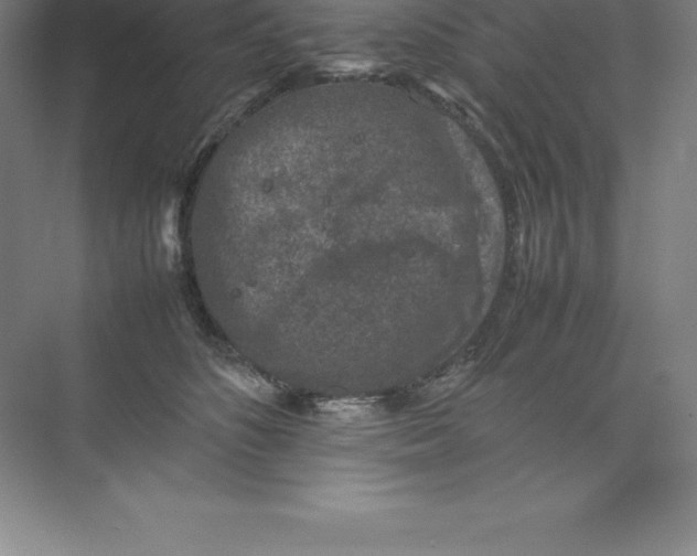 X0000074030516200609181930