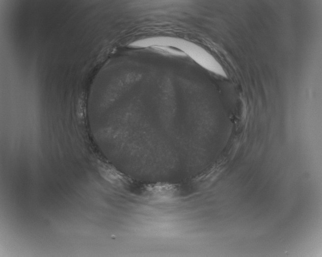 X0000074030517200609181930