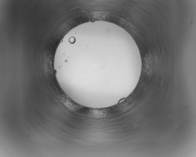 X0000074030522200609181930