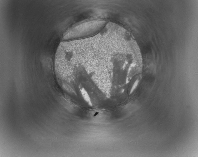 X0000074030523200609181930