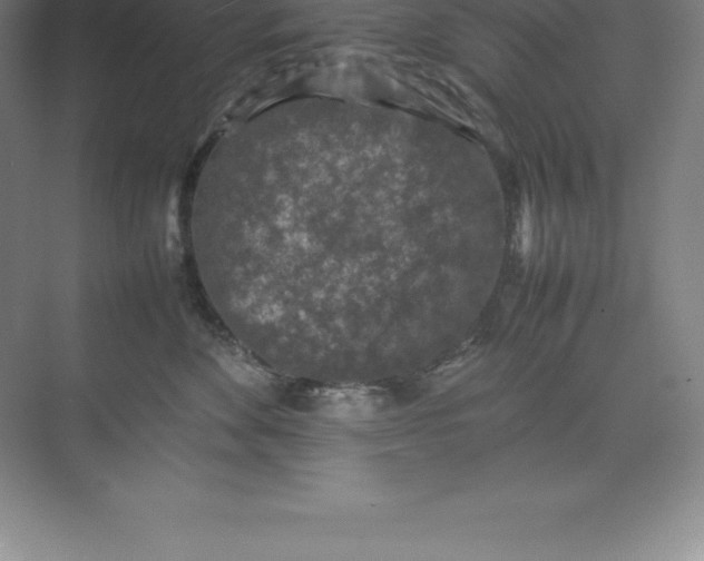 X0000074030524200609181930