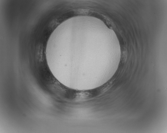 X0000074030525200609181930