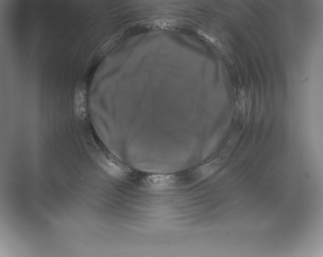 X0000074030526200609181930