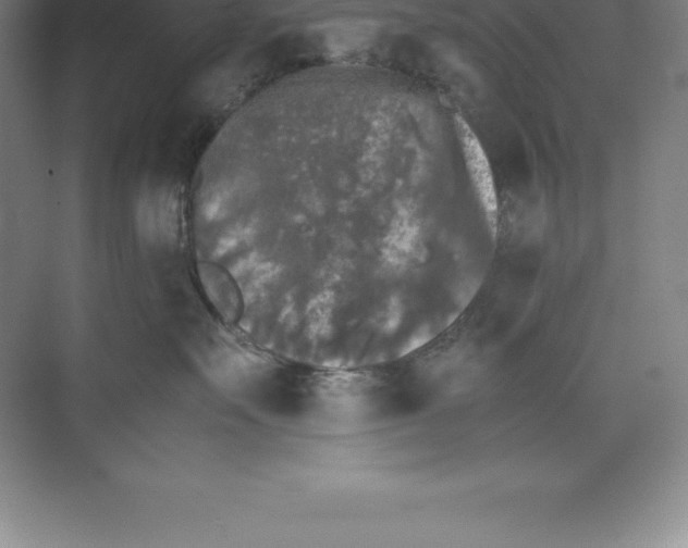 X0000074030527200609181930