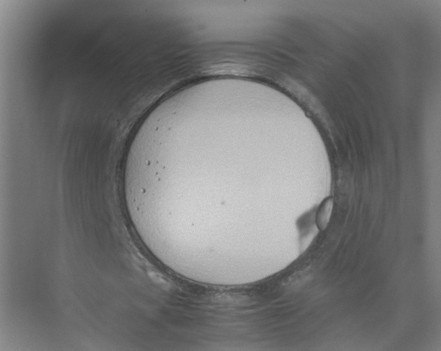 X0000074030529200609181929