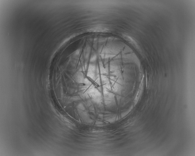 X0000074030531200609181929