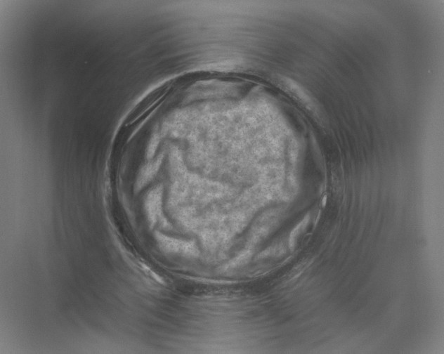 X0000074030532200609181929