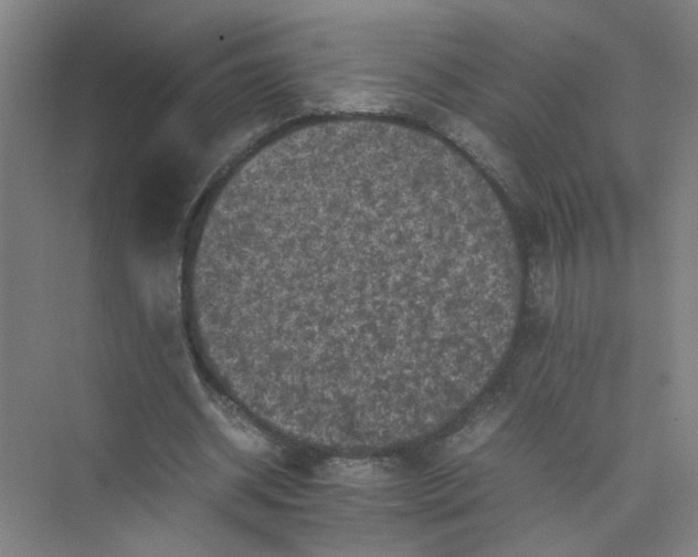 X0000074030534200609181929