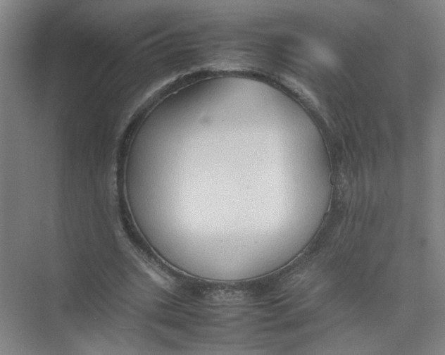 X0000074030535200609181929