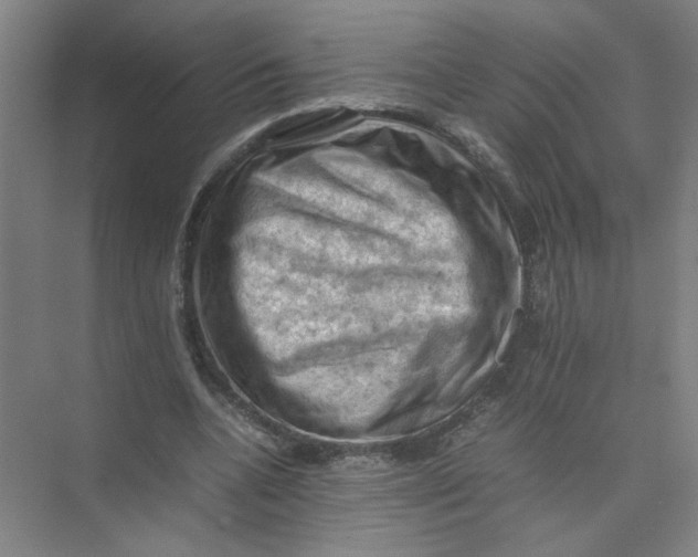 X0000074030536200609181929