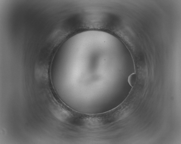 X0000074030537200609181929