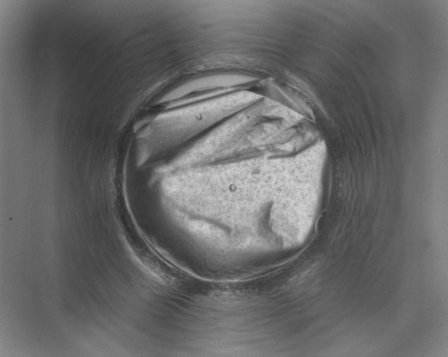 X0000074030538200609181929