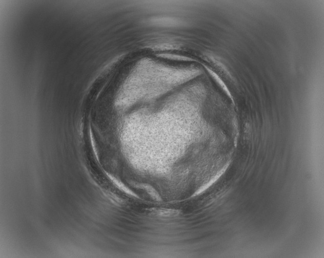 X0000074030539200609181929