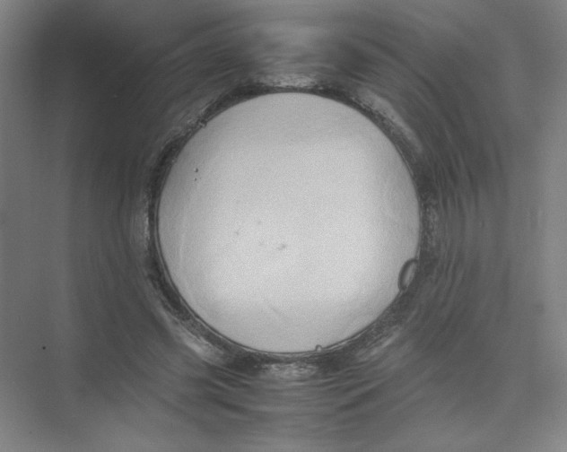 X0000074030541200609181929