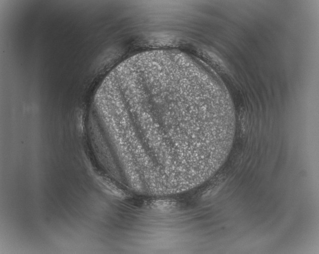 X0000074030546200609181929