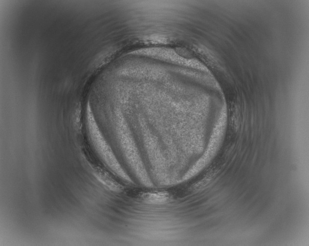 X0000074030548200609181929