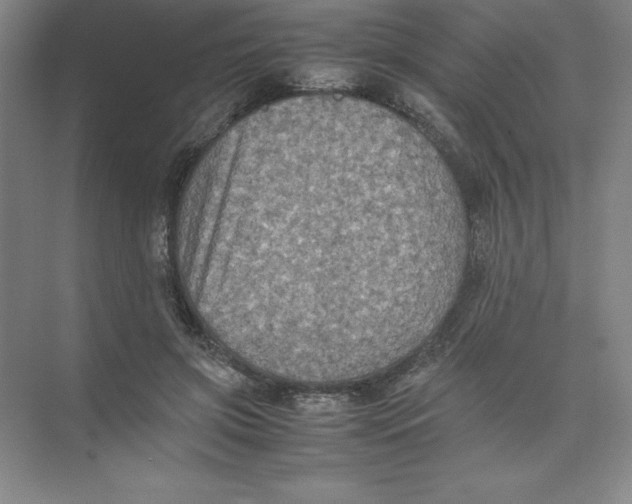 X0000074030549200609181929