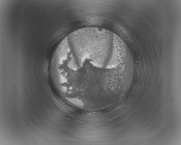 X0000074030550200609181929