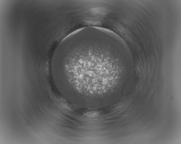 X0000074030551200609181929