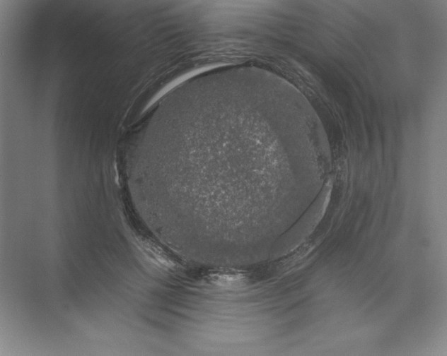 X0000074030552200609181929