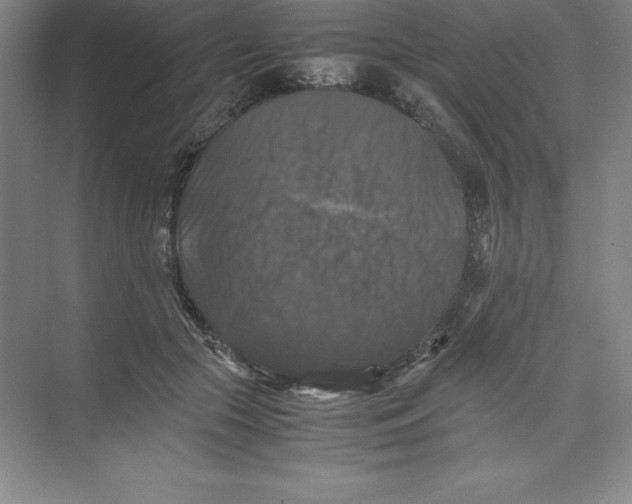 X0000074030553200609181929