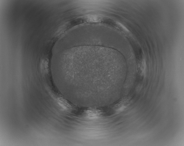 X0000074030556200609181929