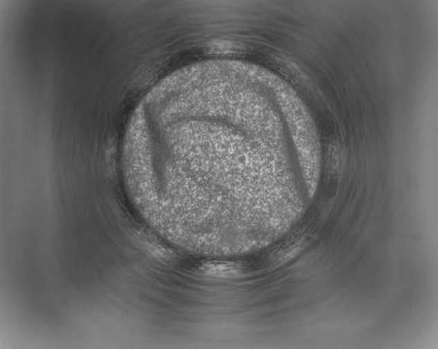 X0000074030557200609181929