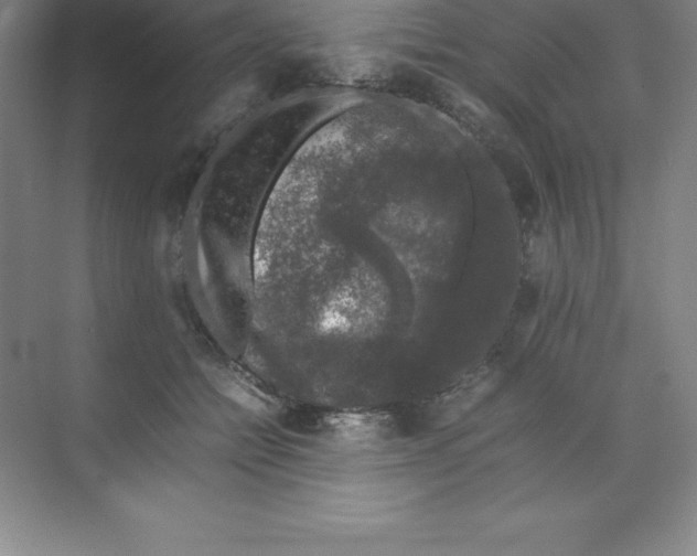 X0000074030558200609181929