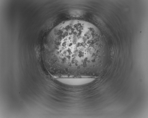 X0000074030559200609181929