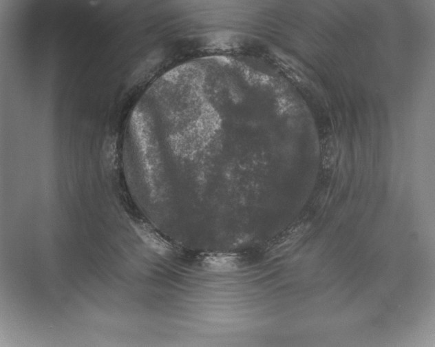 X0000074030560200609181929