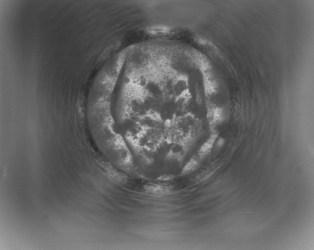 X0000074030561200609181929