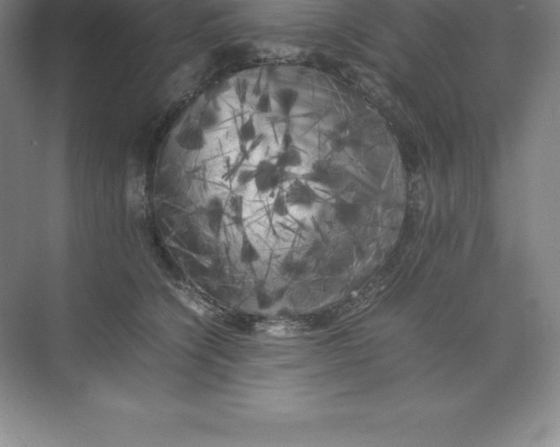 X0000074030564200609181929