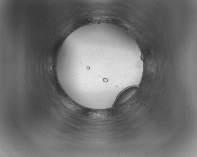 X0000074030567200609181930