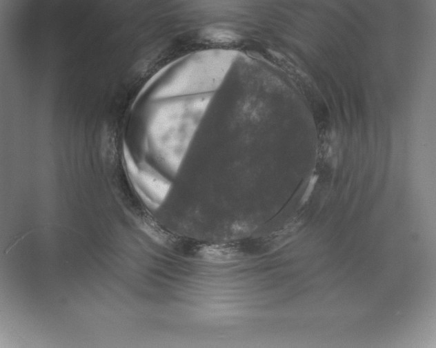 X0000074030568200609181930